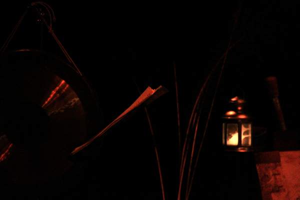 S p e c t a c l e   T h i e r r y   N a d a l i n i ,   l e   r e t o u r   d u   s e r p e n t   �   p l u m e   , 