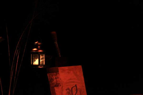 S p e c t a c l e   T h i e r r y   N a d a l i n i ,   l e   r e t o u r   d u   s e r p e n t   �   p l u m e   , 