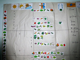 Projet agro-écologique soutenu par Partage sans Frontières en Bolivie