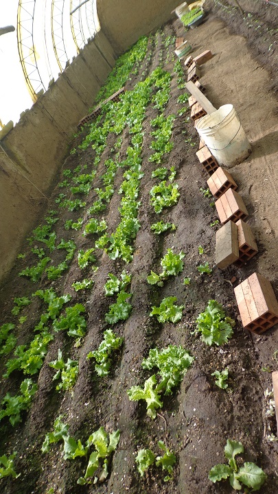 projet à El Alto de Partage sans Frontières