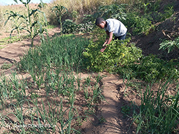 Projet à Sakalalina soutenu par Partage sans Frontières