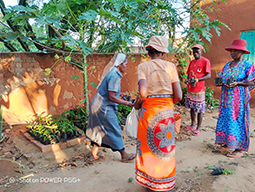 Projet à Sakalalina soutenu par Partage sans Frontières