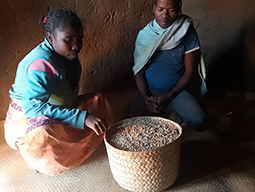 Projet à Sakalalina soutenu par Partage sans Frontières