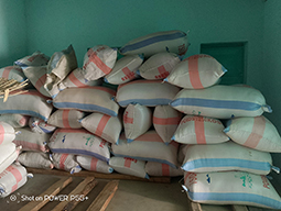 Projet à Sakalalina soutenu par Partage sans Frontières