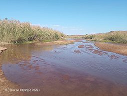 Projet à Sakalalina soutenu par Partage sans Frontières